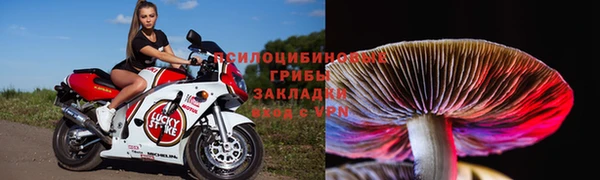 Альфа ПВП Алзамай