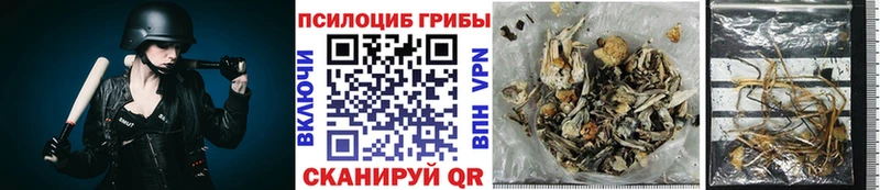 omg ссылки  купить наркотик  Изобильный  Галлюциногенные грибы GOLDEN TEACHER 
